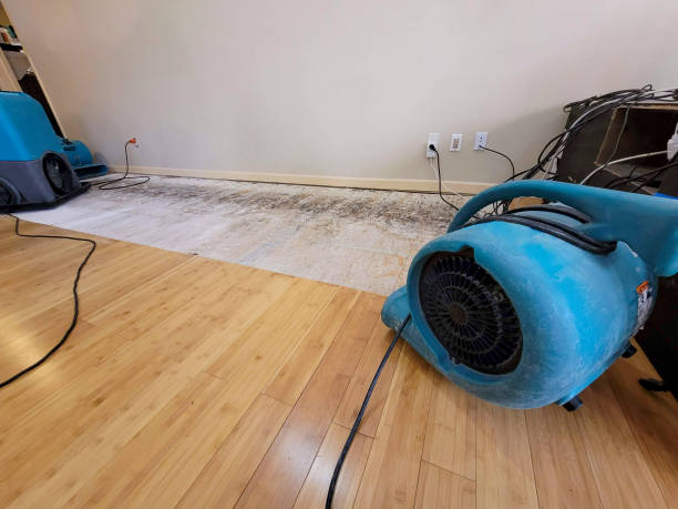 Professional Water Damage Repair technician working in Oakwood, GA